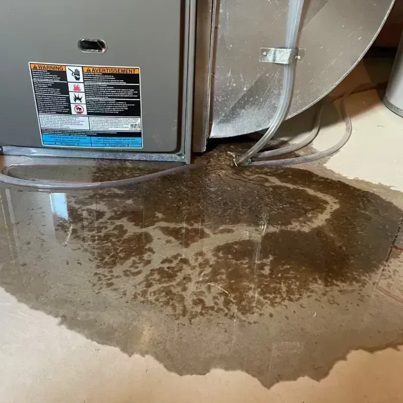 Appliance Leak Cleanup in Lawrenceville, IL